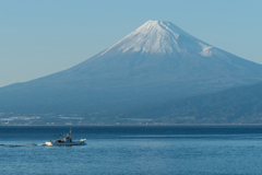 戸田村　富士山