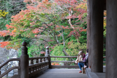 鎌倉・妙本寺