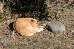 三渓園フォトコンテスト表彰式