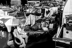 20180421 子安スナップ