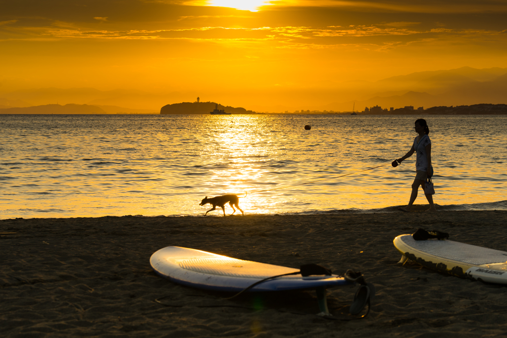 夏の海岸お散歩