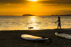 夏の海岸お散歩