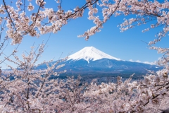 新倉山浅間公園