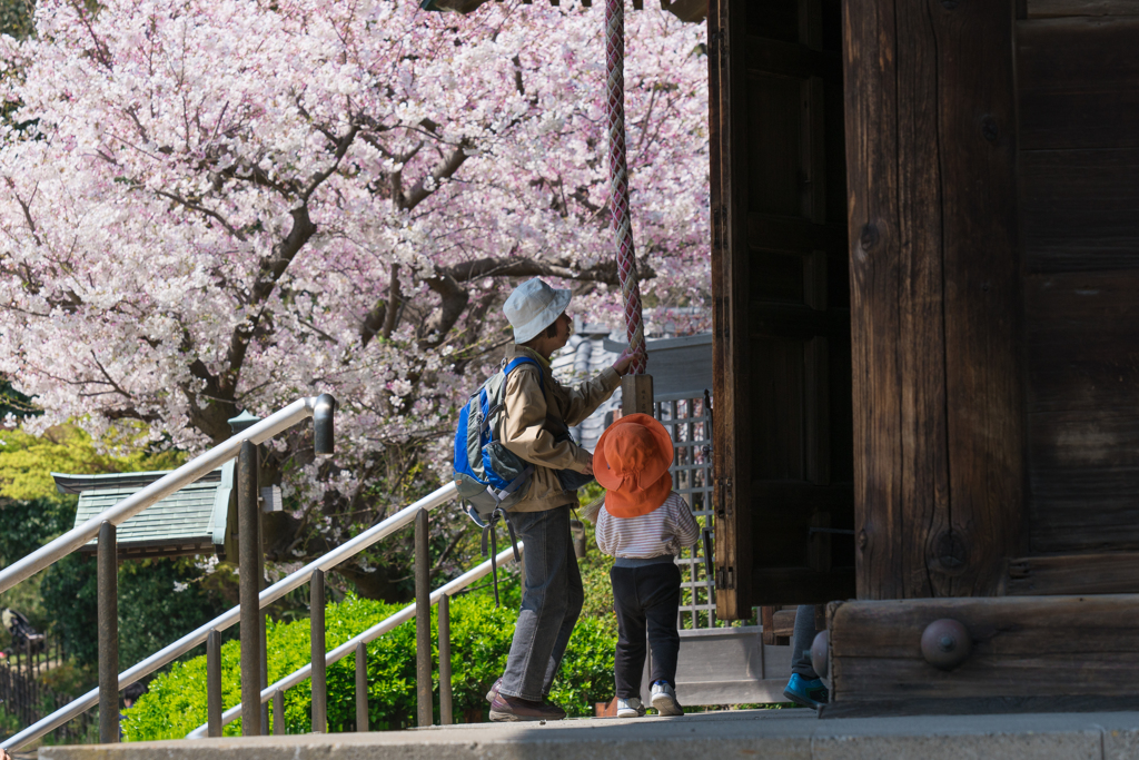 2019春の称名寺