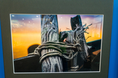 鉄斎さん写真展