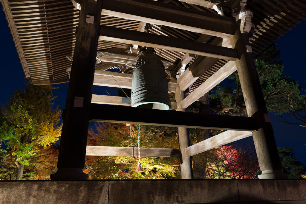 長谷寺　紅葉ライトアップ