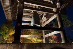 長谷寺　紅葉ライトアップ