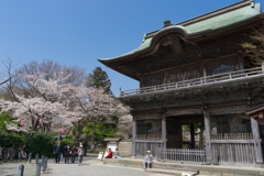 2019春の称名寺