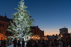 赤レンガ倉庫　クリスマスマーケット