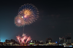 スパークリング・トワイライト　2018