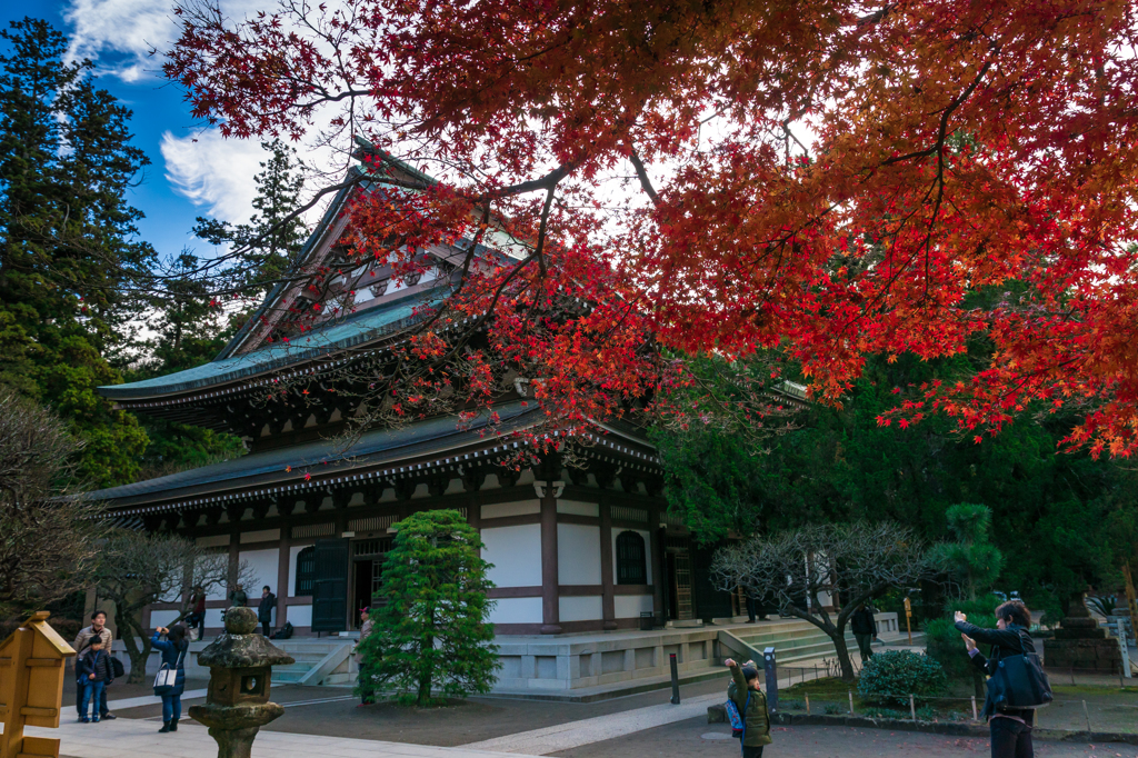 紅葉の円覚寺