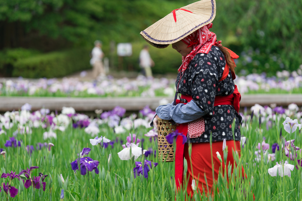 2017 /06 /11 菖蒲園