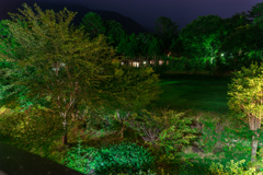 ホテルの窓から