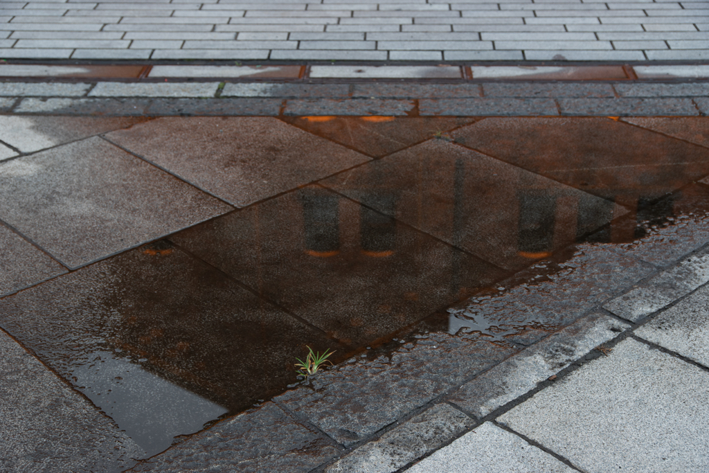 雨上がりの赤レンガ倉庫