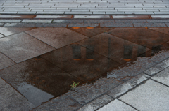 雨上がりの赤レンガ倉庫