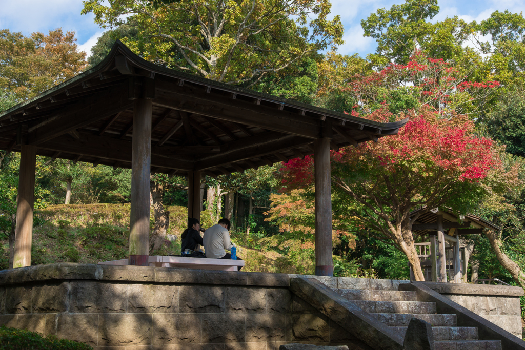 大磯城山公園