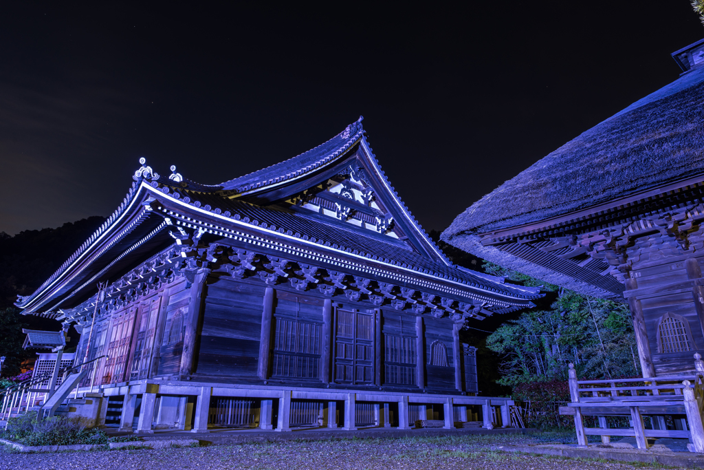 2017 GW 称名寺ライトアップ