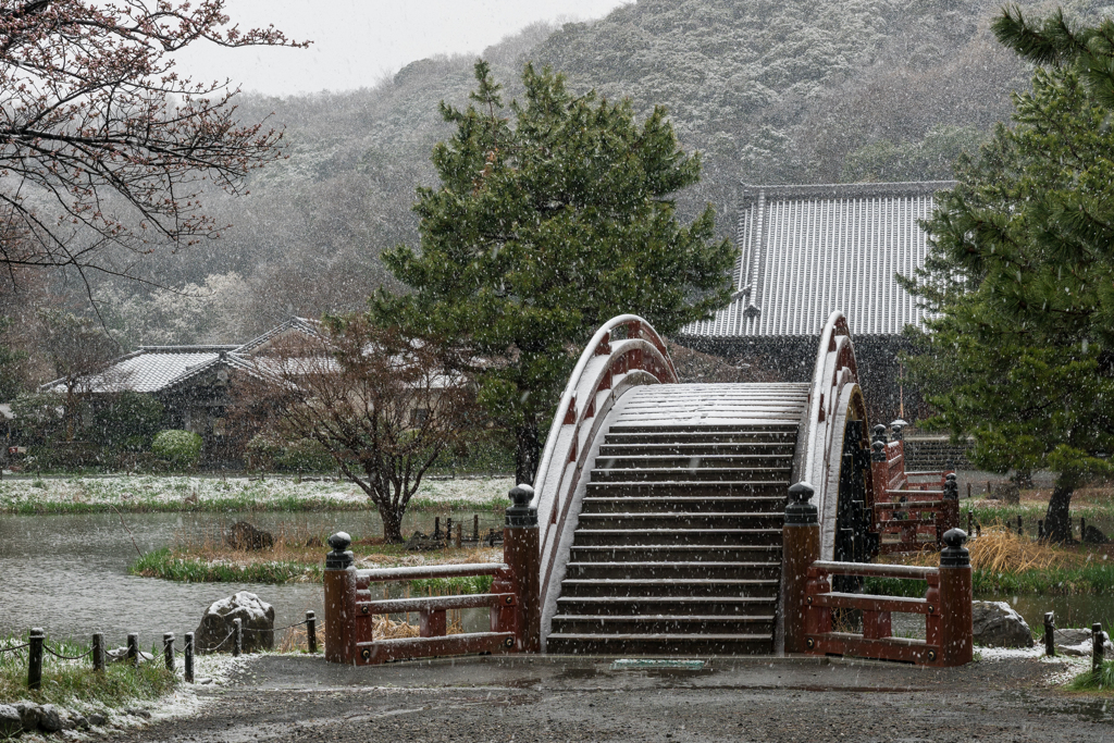 雪の日の称名寺