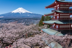 新倉山浅間公園　展望台