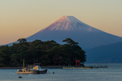 戸田村 富士山 戸田村 富士山