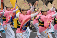 第63回 東京高円寺阿波おどり