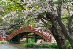 2019春の称名寺