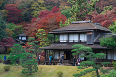 秋の三渓園