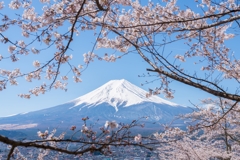 新倉山浅間公園