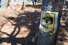 新倉山浅間公園　熊出没注意