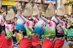 第63回 東京高円寺阿波おどり