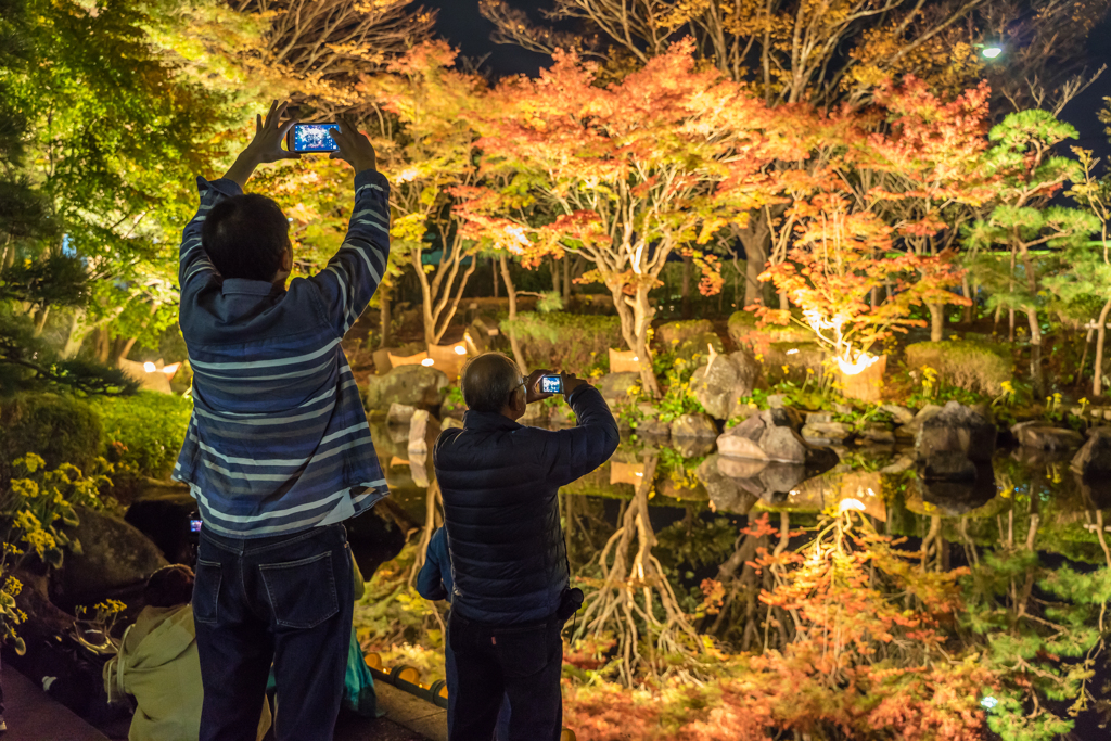 大磯城山公園　紅葉ライトアップ