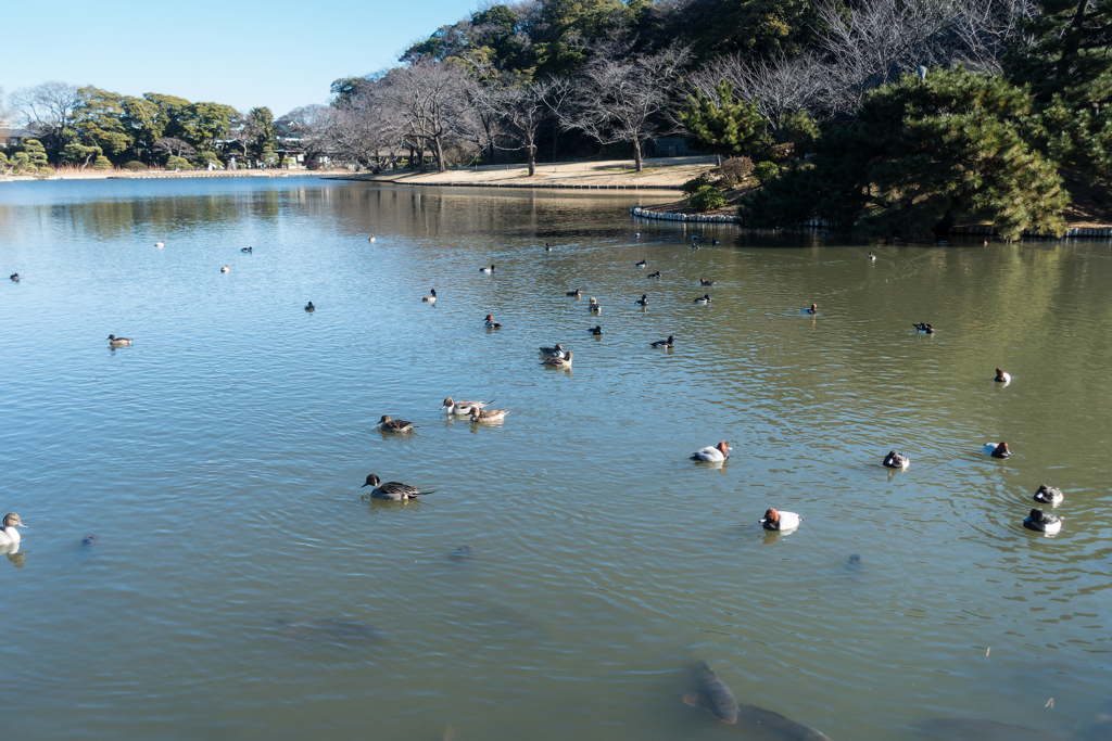 三渓園フォトコンテスト表彰式