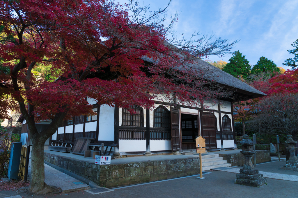 紅葉の円覚寺