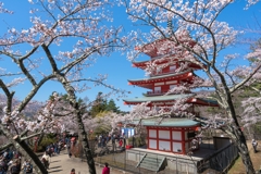 新倉山浅間公園
