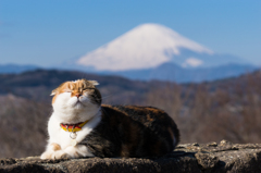 吾妻山公園のチャミちゃん
