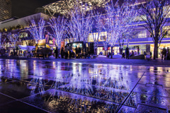 みなとみらいイルミネーション