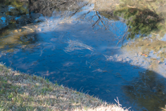 三渓園フォトコンテスト表彰式