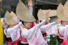 第63回 東京高円寺阿波おどり