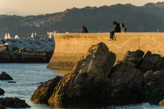 森戸海岸　釣り