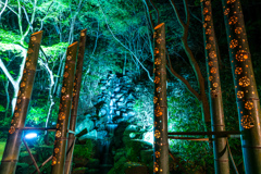 大磯城山公園　紅葉ライトアップ