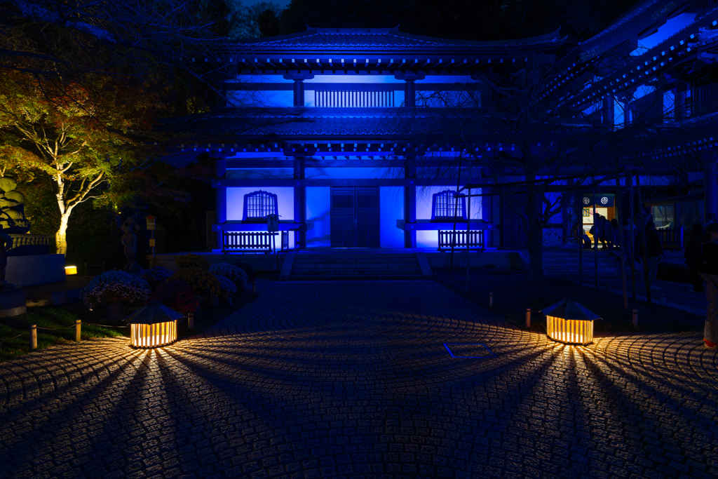 長谷寺　紅葉ライトアップ