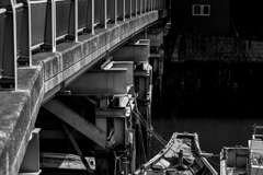 20180421　子安スナップ