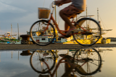 漁港のチャリ
