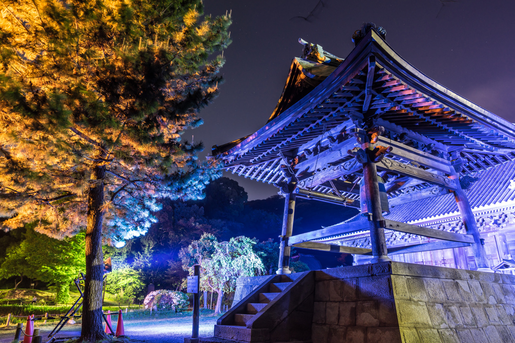 2017 GW 称名寺ライトアップ