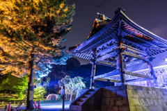 2017 GW 称名寺ライトアップ