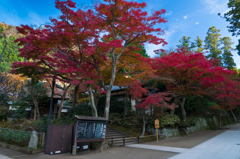 紅葉の円覚寺