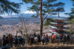 新倉山浅間公園