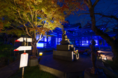 長谷寺　紅葉ライトアップ