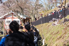 激混みの新倉山浅間公園
