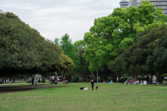 山下公園　新緑